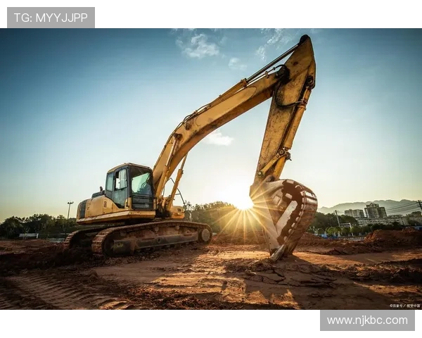 挖掘机在极端环境作业表现